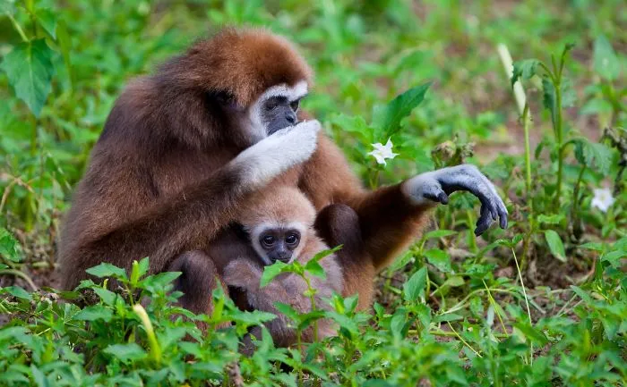 I Photograph The Loving Bond Between Animal Moms And Their Babies (34 Pics)