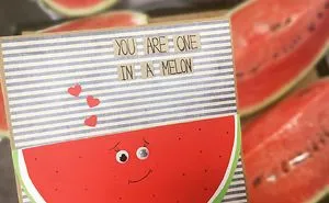 Cute And Funny Greeting Cards I Made With So Much Love!