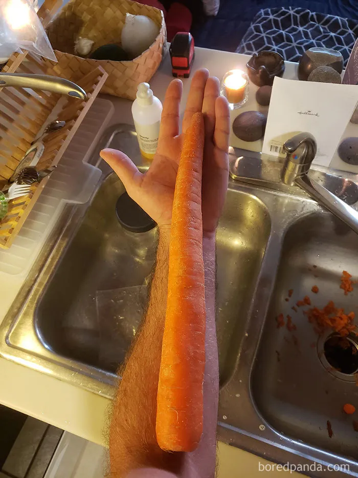 35 Times People Ordered Groceries During Quarantine And Got More Than They Bargained For