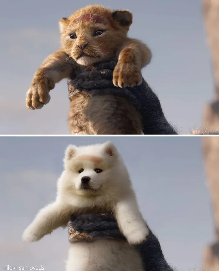 Everything The Light Touches Is Your Kingdom, Myla. Except For Those Socks