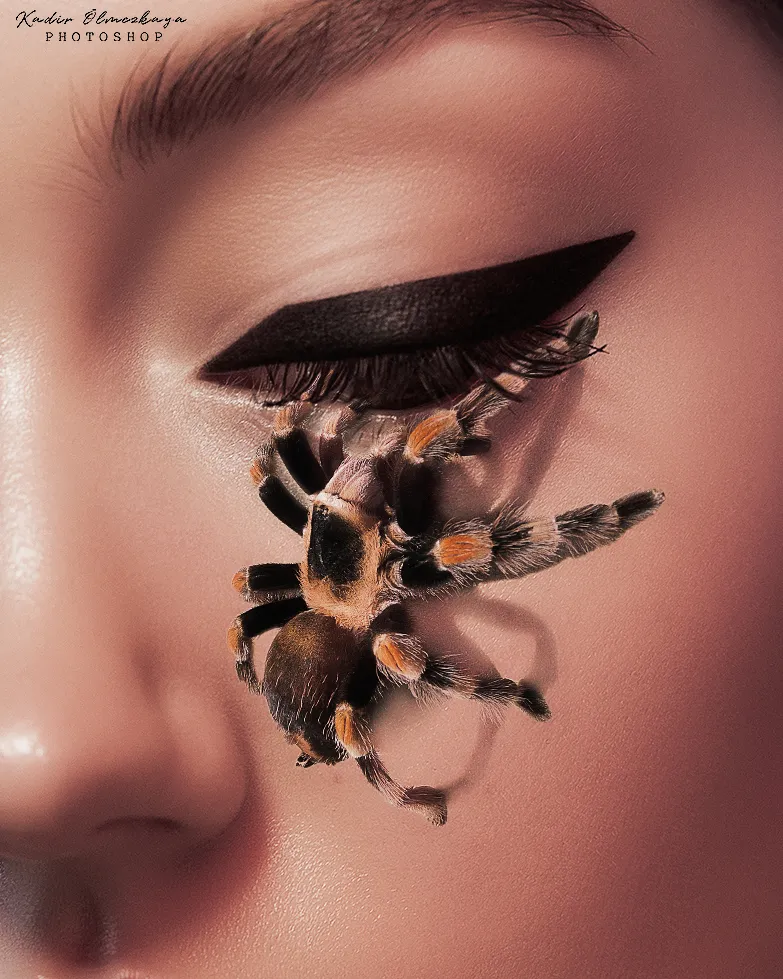 Photo Manipulations