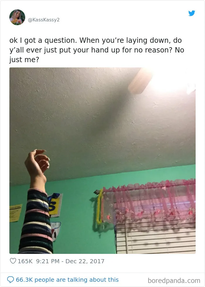 Put Your Hand Up