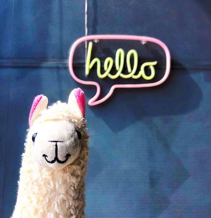 Llama (@llamawithnodrama)