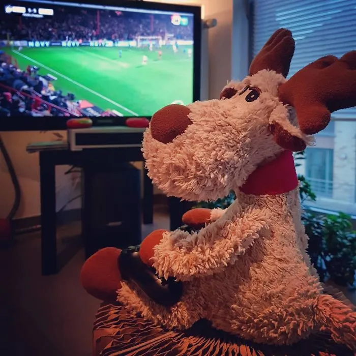 Luka (@luka_the_reindeer)