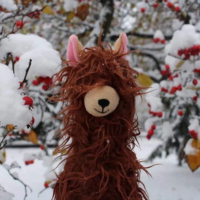Gyapjas Alpaka (Travellingalpaca)