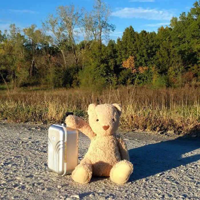 Ted (@hugsforamerica)