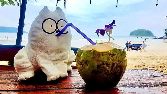 Samuel (@samuel.thesimonscat)