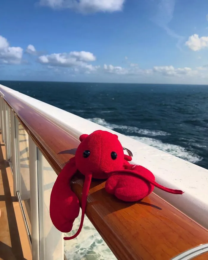 Pinchie The Lobster (@pinchiethelobster)