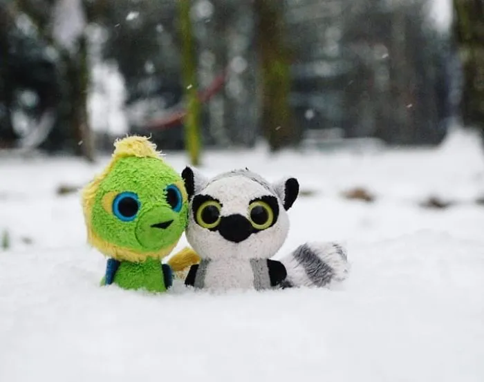 Goggles And Talulu Mctravel (@goggles.and.talulu)