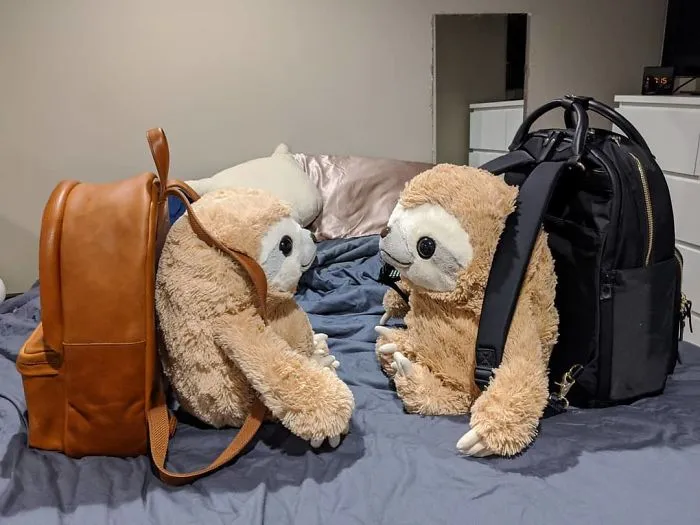 Mr. Sloth (@lovemrsloth)