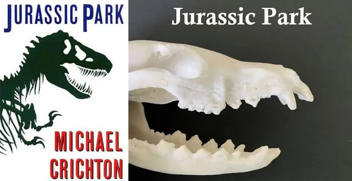 Book Cover Challenge Sweeps Over Twitter And People Share Their Efforts In Recreating Them
