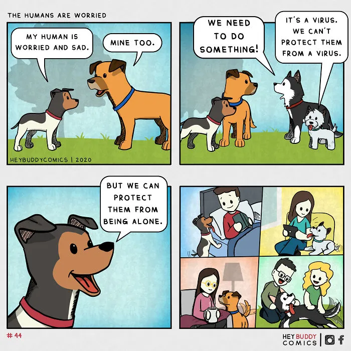 My Comics Are Inspired By My Dog And Most Dog Owners Will Relate To Them (34 New Pics)