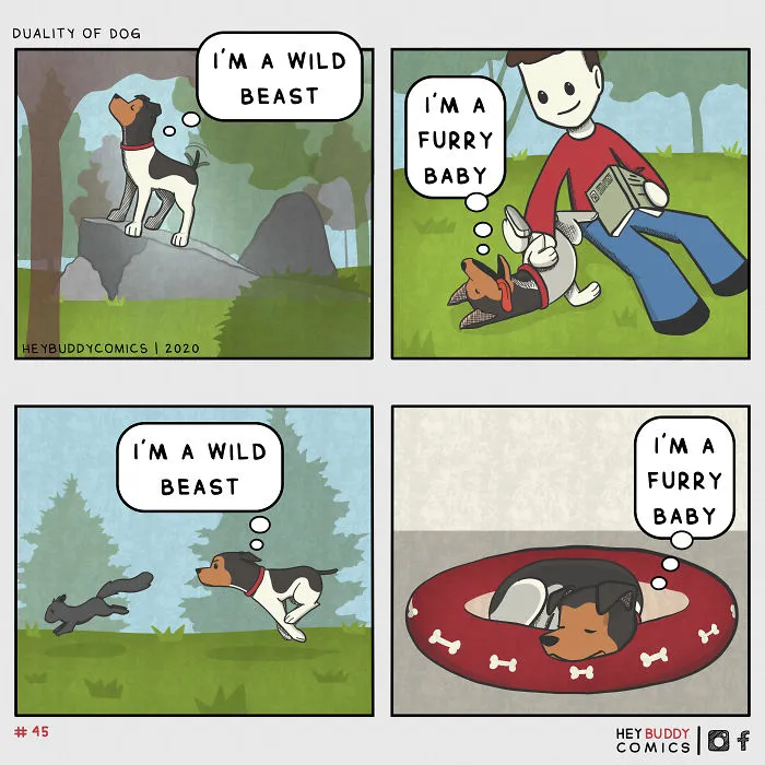 My Comics Are Inspired By My Dog And Most Dog Owners Will Relate To Them (34 New Pics)