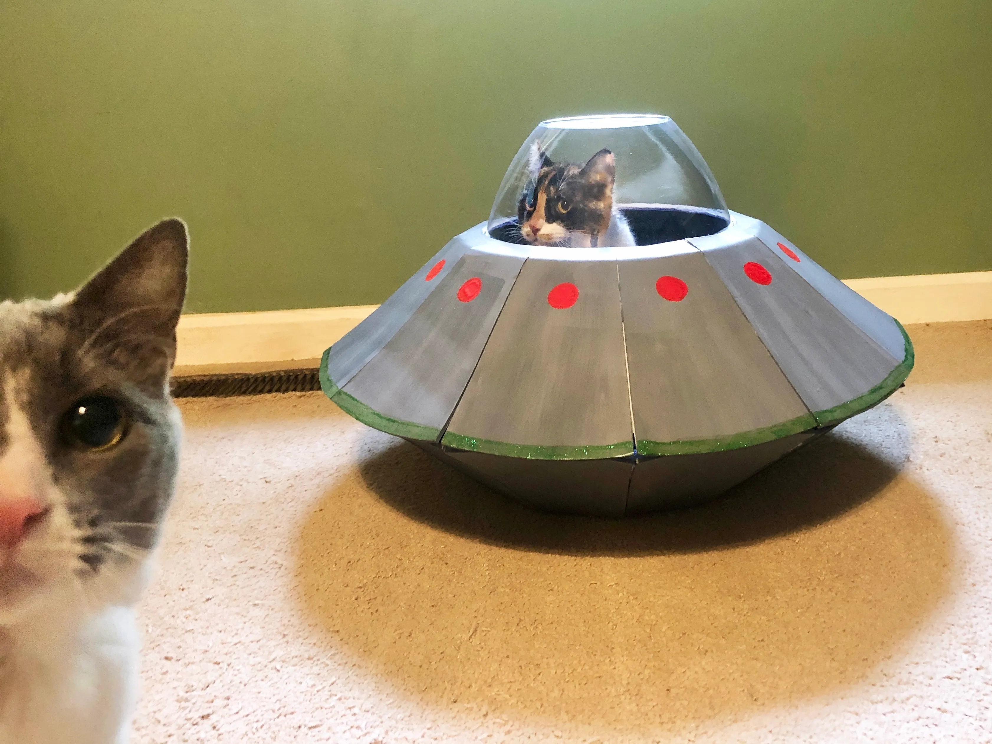 UFO Cat Bed That Is Out Of This World