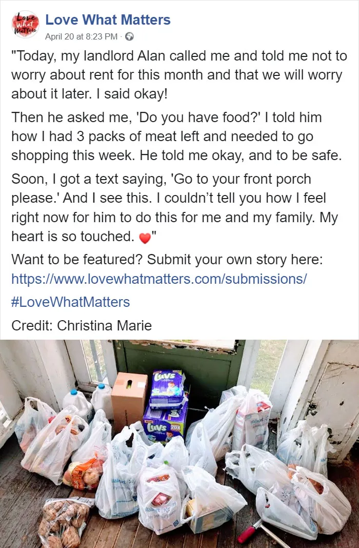 Wholesome Landlord 