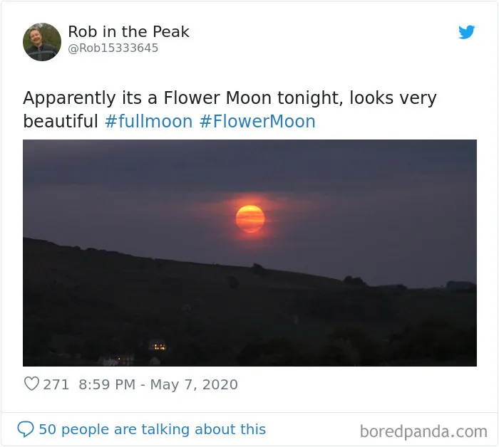 27 People Took Stunning Photos Of The Last Supermoon Of 2020