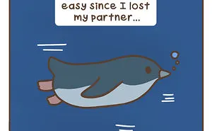 I Created A Comic Strip Based On The Two Widowed Fairy Penguins Photograph That Went Viral