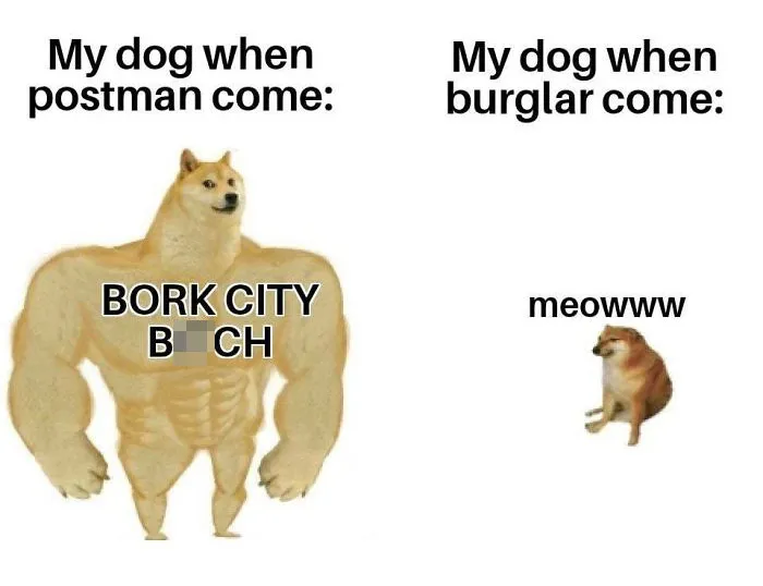 30 Of The Most Savage Yet Somewhat Accurate 'Then Vs. Now' Doge Memes