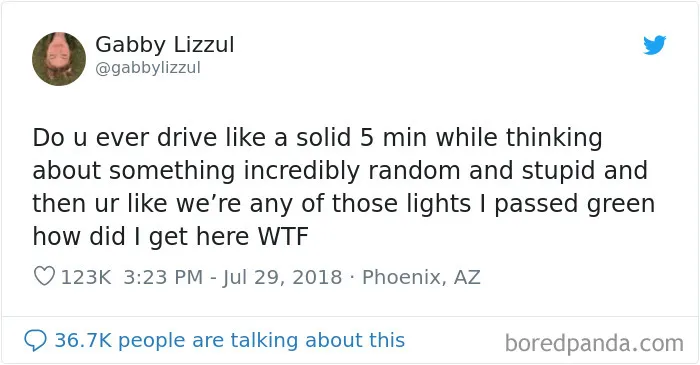 Auto Pilot