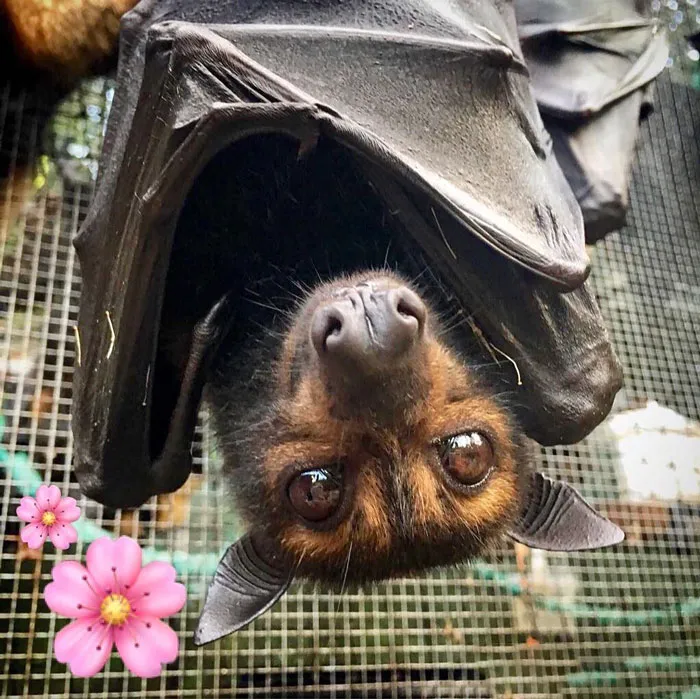 The View's Better From The Upside Down!
