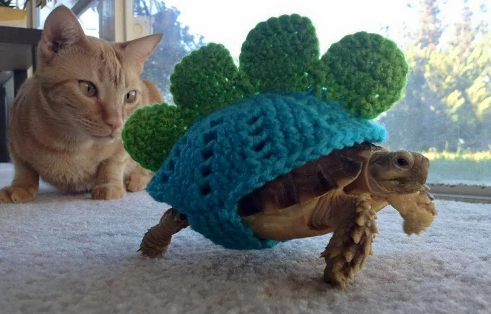 The Stegotortoise - Crochet Cosplay Is For Tortoises Too!
