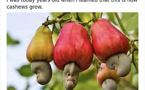 30 People Who Were 'Today Years Old' When They Realized These Random Things