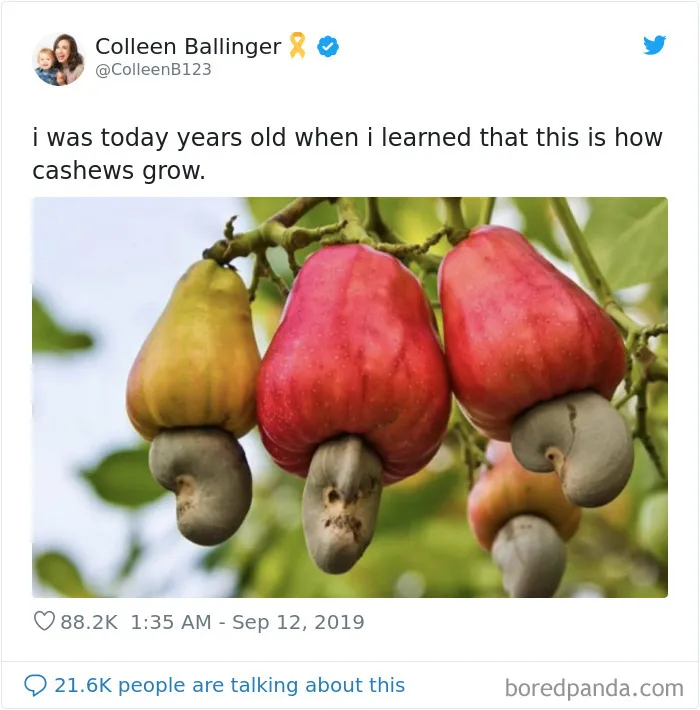 28 People Who Were 'Today Years Old' When They Realized These Random Things