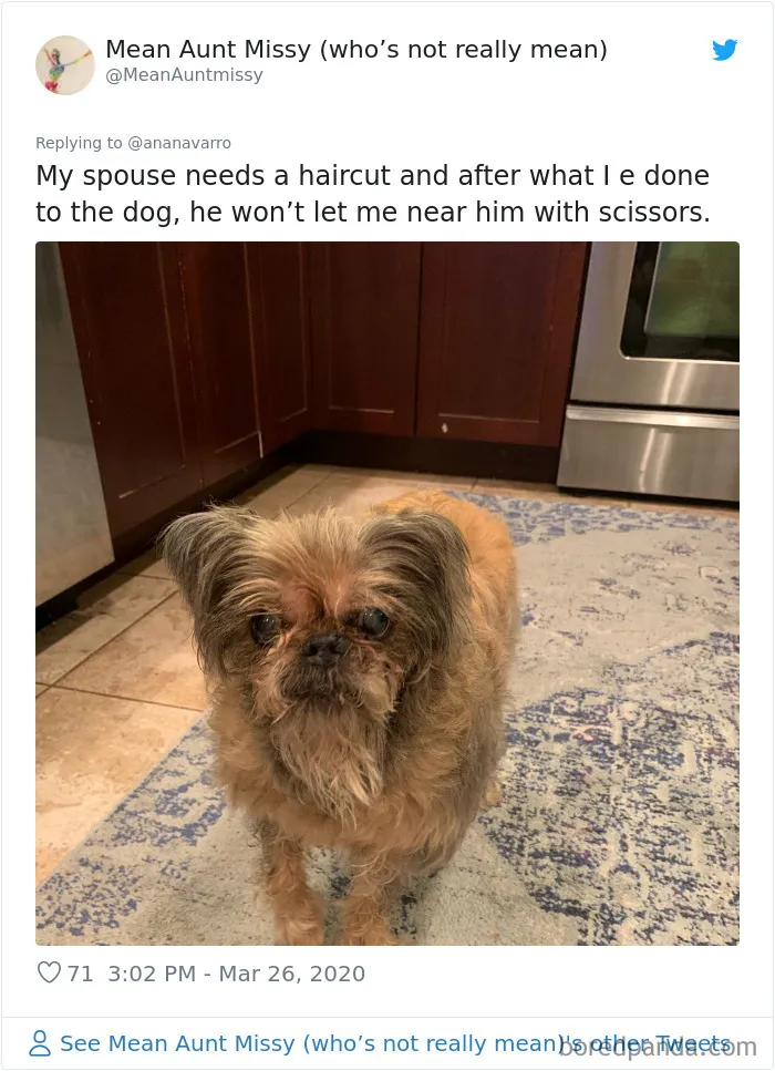 Mi marido necesita un corte de pelo, pero tras ver lo que le he hecho al perro, no me deja acercarme con las tijeras