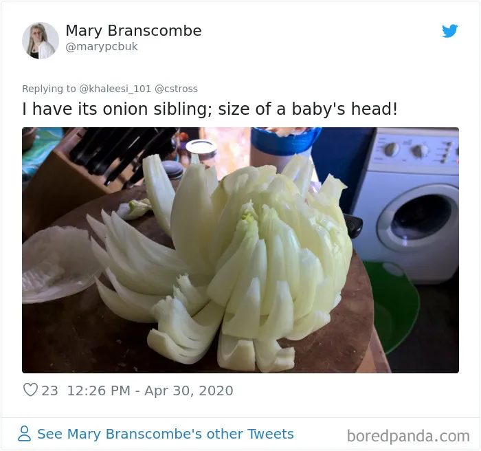 35 Times People Ordered Groceries During Quarantine And Got More Than They Bargained For