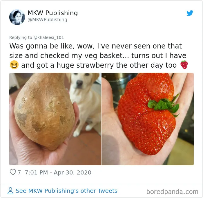35 Times People Ordered Groceries During Quarantine And Got More Than They Bargained For