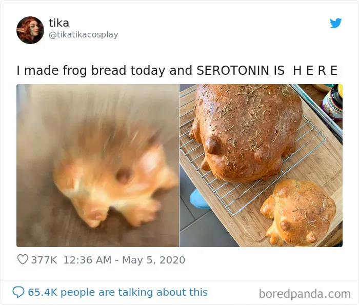 30 People Share Their Attempts At The Latest Trend - Baking Frog Bread