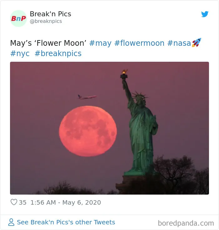 27 People Took Stunning Photos Of The Last Supermoon Of 2020