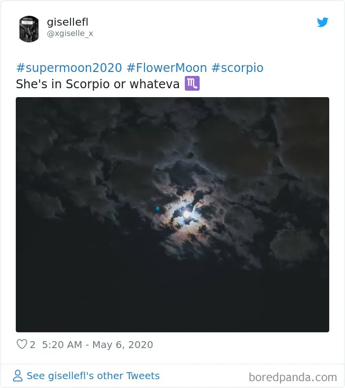 27 People Took Stunning Photos Of The Last Supermoon Of 2020
