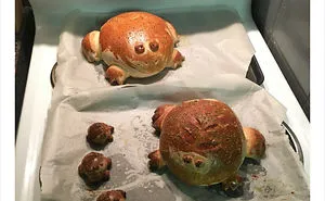 30 People Share Their Attempts At The Latest Trend - Baking Frog Bread