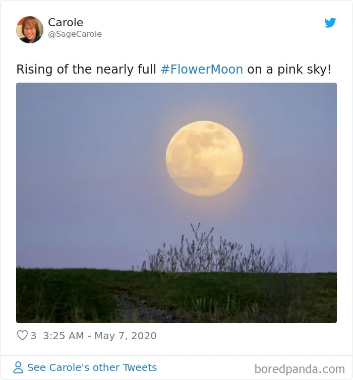 27 People Took Stunning Photos Of The Last Supermoon Of 2020