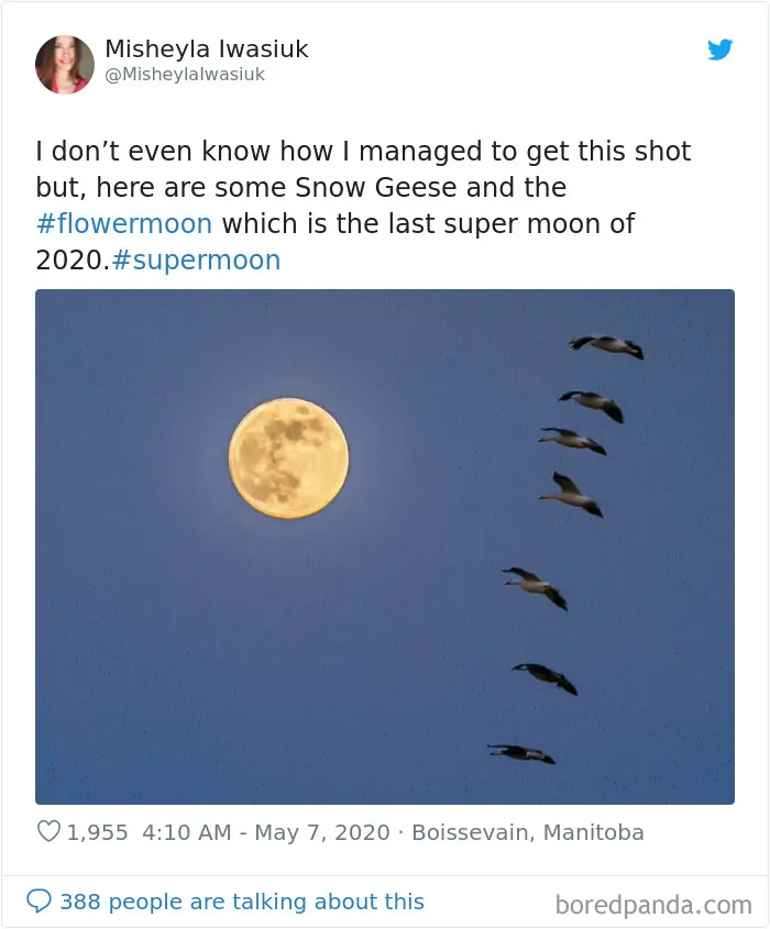 27 People Took Stunning Photos Of The Last Supermoon Of 2020