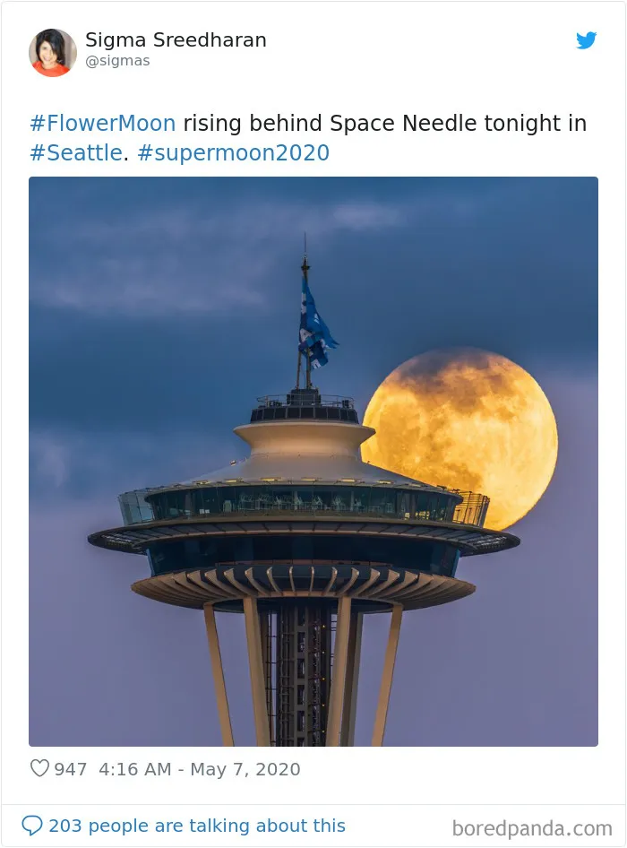 27 People Took Stunning Photos Of The Last Supermoon Of 2020