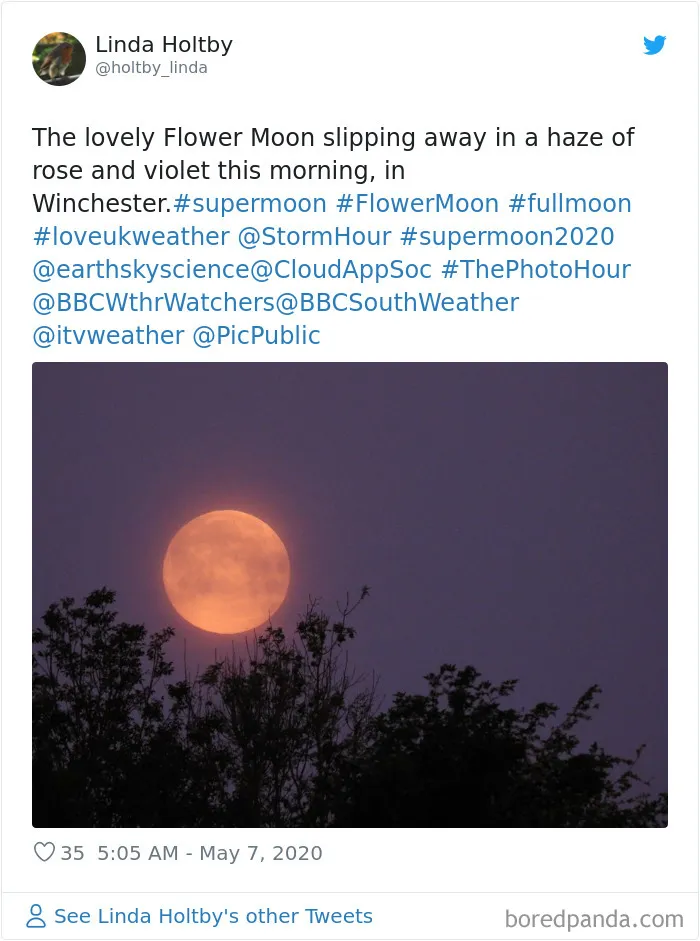 27 People Took Stunning Photos Of The Last Supermoon Of 2020