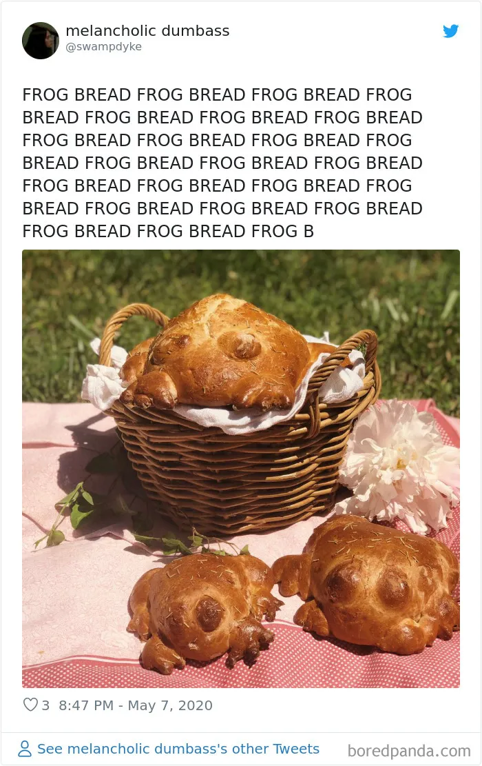 30 People Share Their Attempts At The Latest Trend - Baking Frog Bread