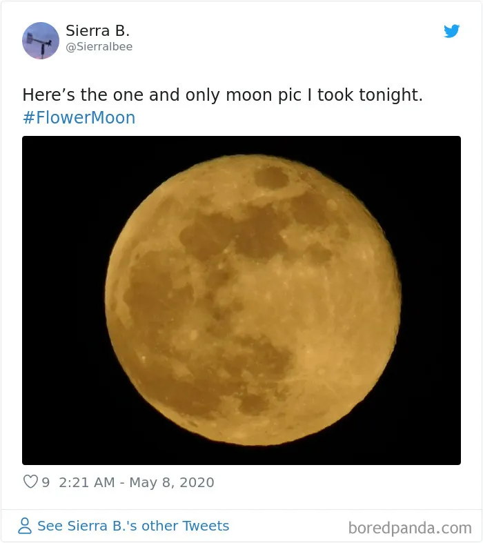 27 People Took Stunning Photos Of The Last Supermoon Of 2020