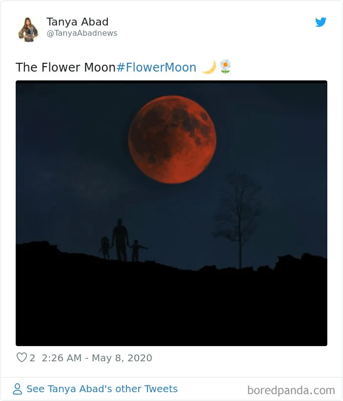 27 People Took Stunning Photos Of The Last Supermoon Of 2020