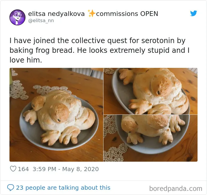 30 People Share Their Attempts At The Latest Trend - Baking Frog Bread