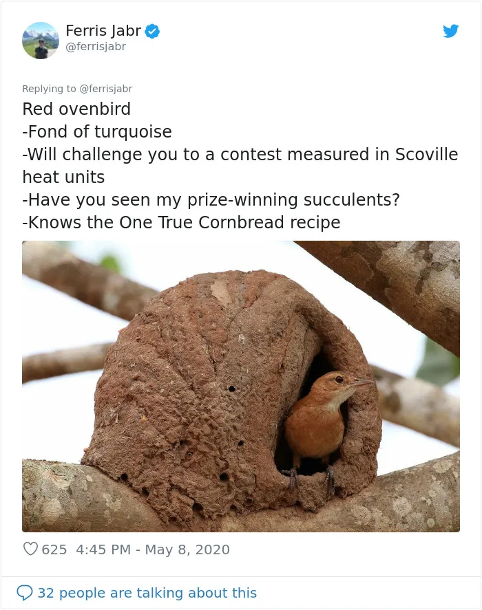 Red Ovenbird