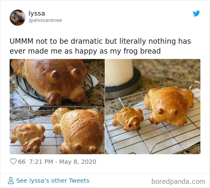 30 People Share Their Attempts At The Latest Trend - Baking Frog Bread