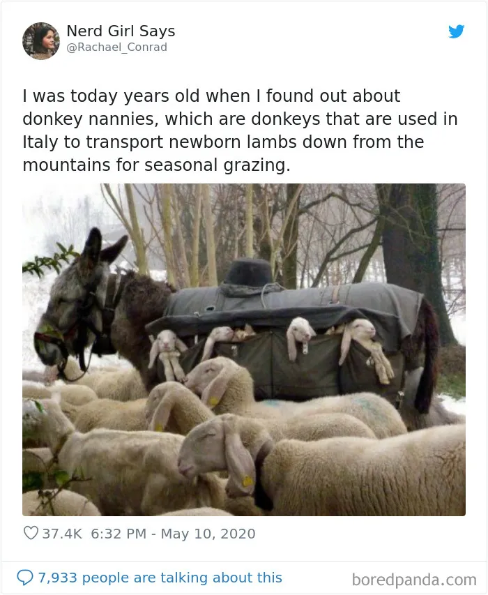 28 People Who Were 'Today Years Old' When They Realized These Random Things