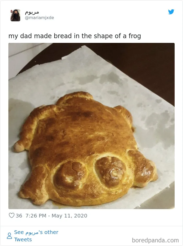30 People Share Their Attempts At The Latest Trend - Baking Frog Bread