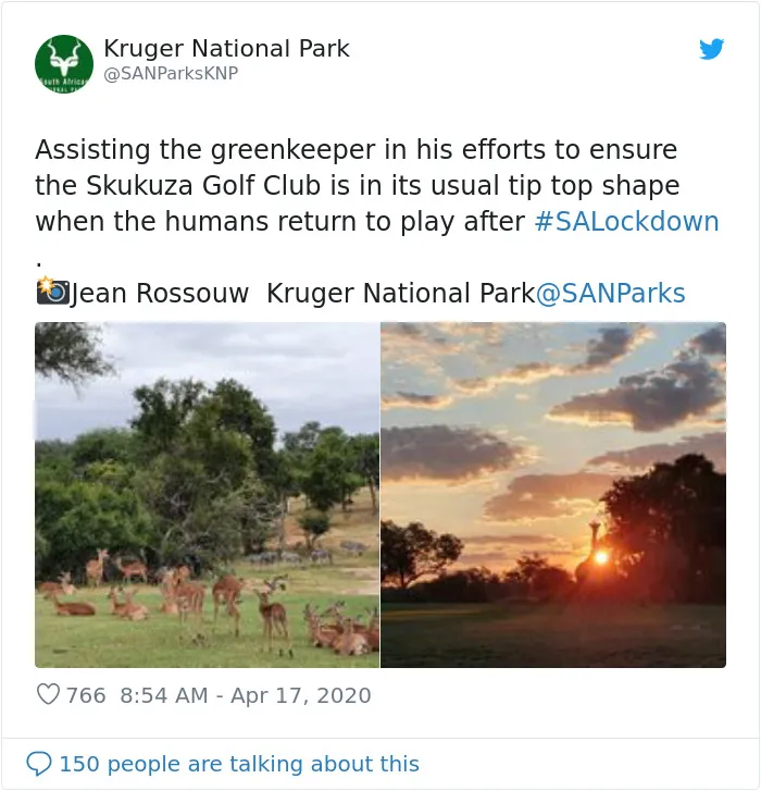 Animales salvajes en el club de golf Skukuza, Sudáfrica