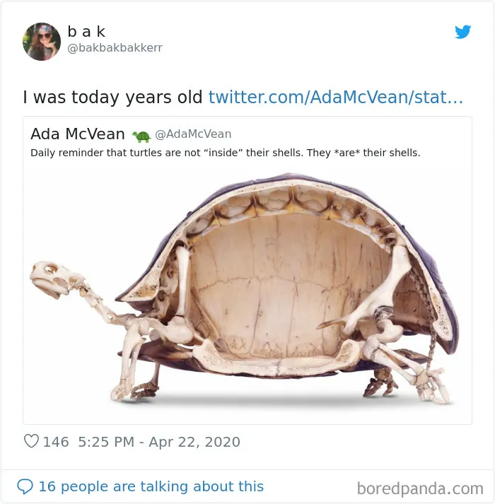 28 People Who Were 'Today Years Old' When They Realized These Random Things
