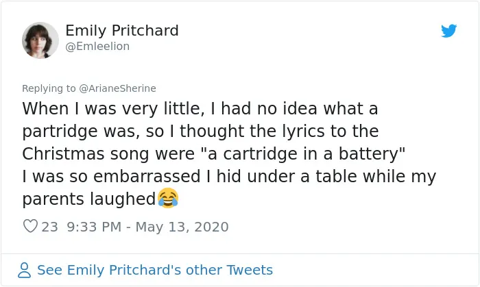 30 People Share How They Used To Believe In Something That Turned Out To Be An Embarrassing Misunderstanding