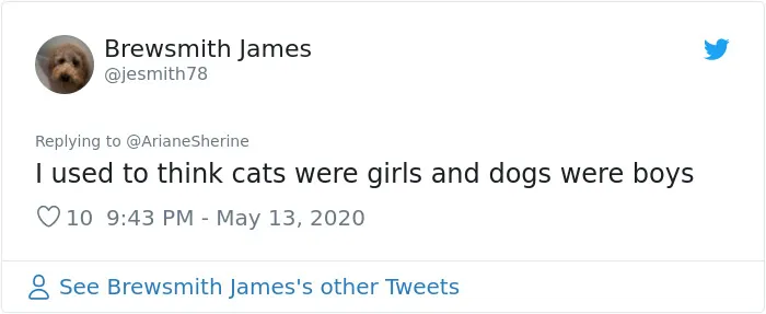30 People Share How They Used To Believe In Something That Turned Out To Be An Embarrassing Misunderstanding